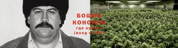 ECSTASY Белоозёрский
