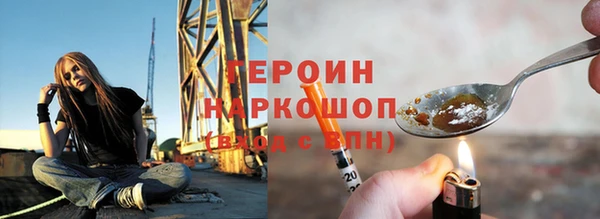 прущие грибы Приозерск