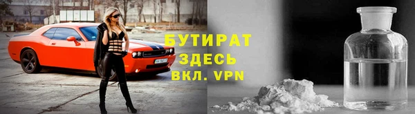 прущие грибы Приозерск