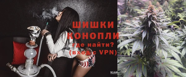 эйфоретик Белокуриха