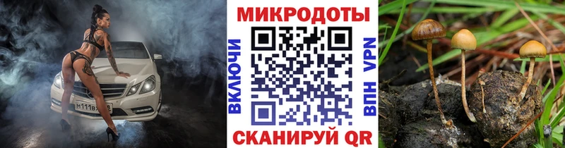 нарко площадка клад  Черемхово  Галлюциногенные грибы MAGIC MUSHROOMS  магазин продажи наркотиков 